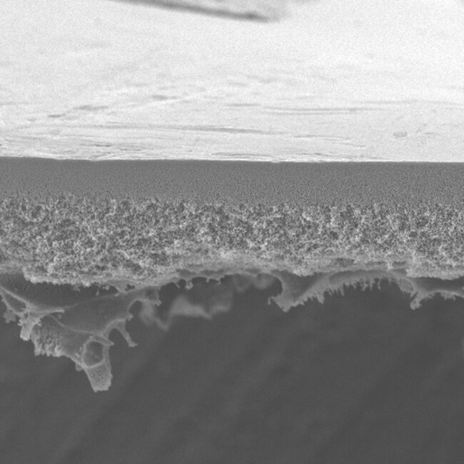 Membranen Biomax PBCC, für Ultrafiltra-